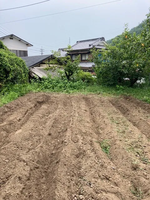 設計事務所の隣接地で畑を作り始める